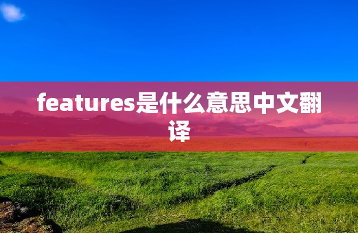 features是什么意思中文翻译